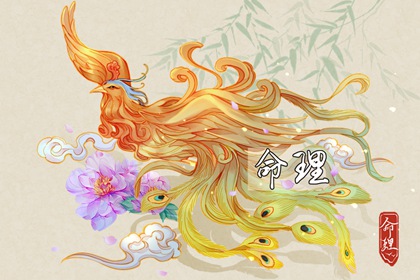 择吉老黄历 择吉黄历每日宜忌 择吉日大全